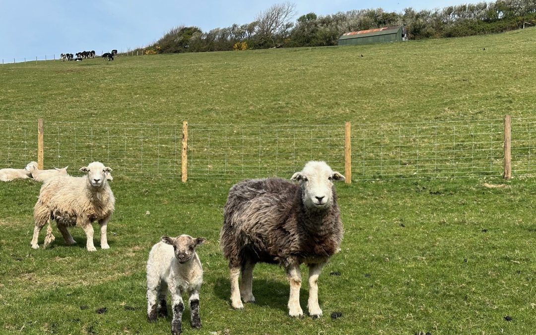 Why North Hole Farm Holidays is the perfect spring escape for couples